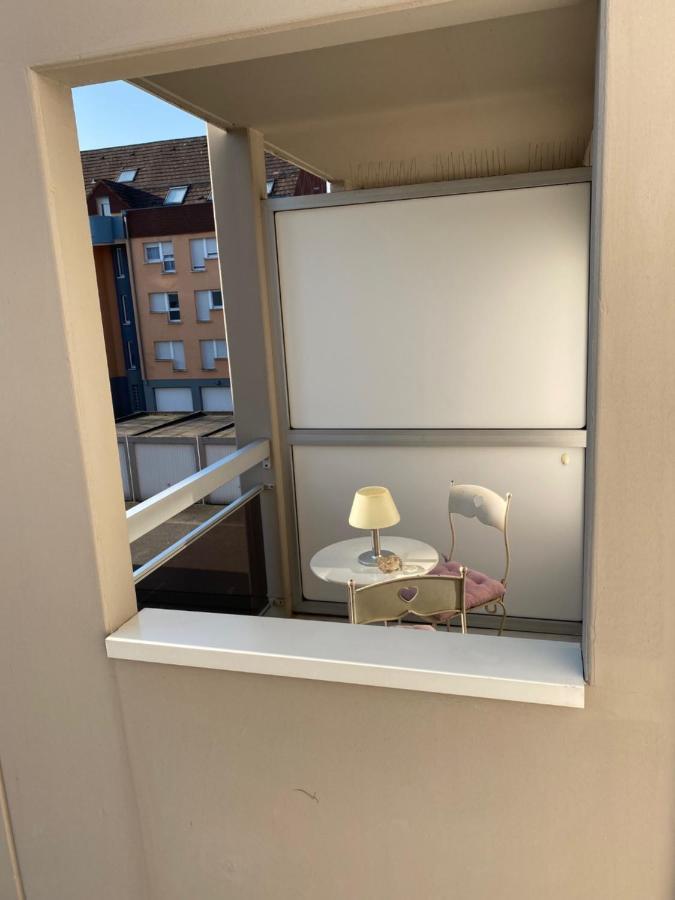 A Haguenau, A 25mn De Strasbourg Apartment *