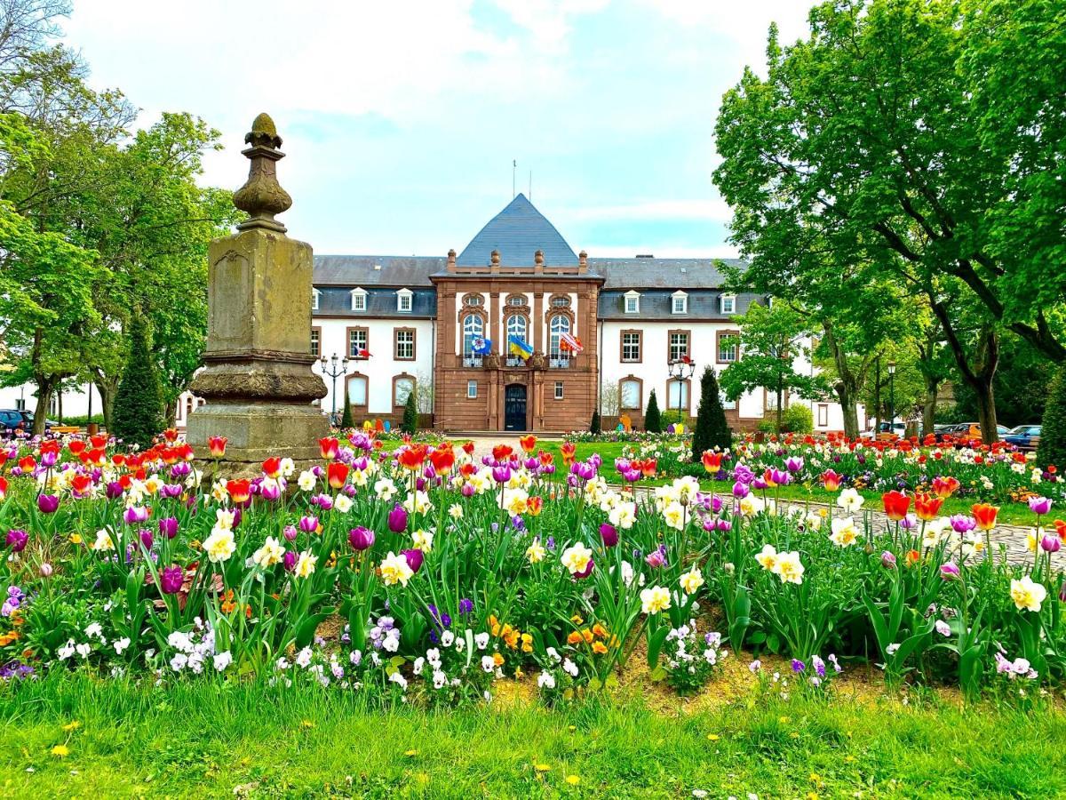 A Haguenau, A 25mn De Strasbourg Apartamento